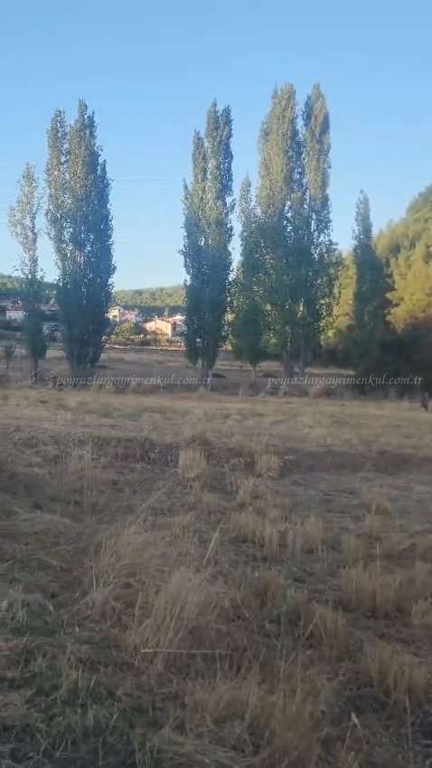 SATILIK ARSA HACIKADEM UŞAK MERKEZ